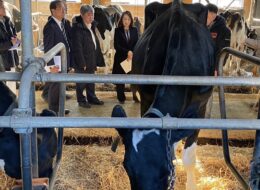 581950020_3744759442325842_8601636796983229902_n