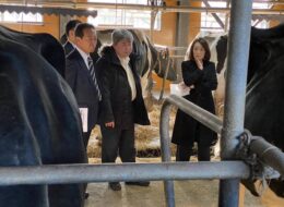 584964380_3744759505659169_568474999097850362_n