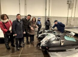 608183321_3799064216895364_7407915856616236890_n