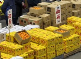 608672690_3799059376895848_811663575012380045_n